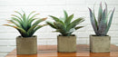 Set Of 3 Realistic Lifelike Artificial Botanica Succulents In Square Pots 11"H