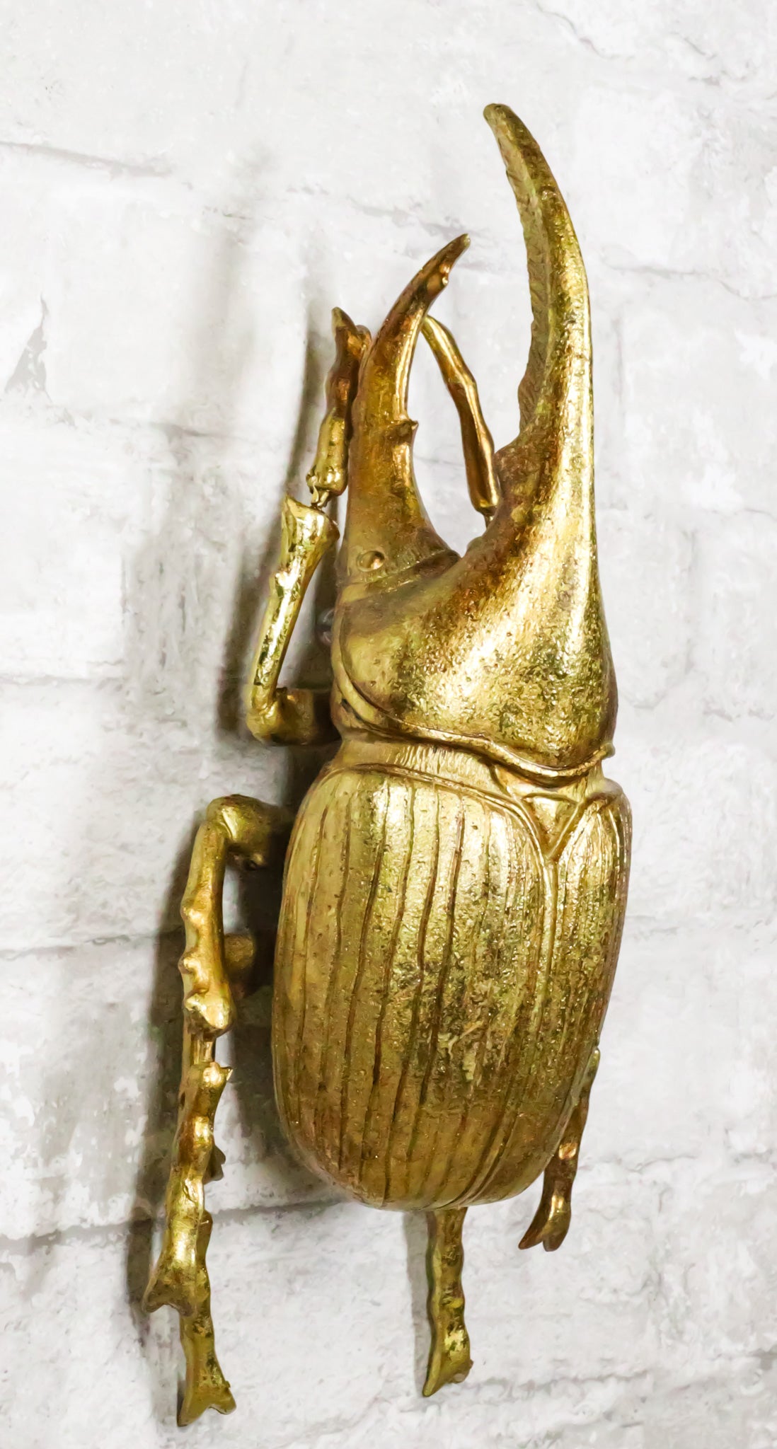 Medium Gold Resin Hercules Rhinoceros Beetle Wall Decor Or Tabletop Figurine