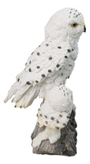 Snowy Owl Mother and Owlet Figurine on Snow-Covered Rock Nature Wildlife Bird