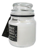 Set of 3 Wicca Halloween Ritual White Sage Happiness Spell Candle in Glass Jar