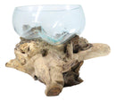 Balinese Natural Driftwood With Large Molten Glass Fruit Succulents Decor Bowl