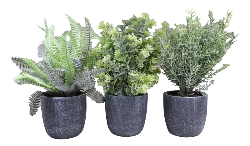 Set of 3 Realistic Artificial Botanica Greenery Ferns in Faux Cement Pots 12"H