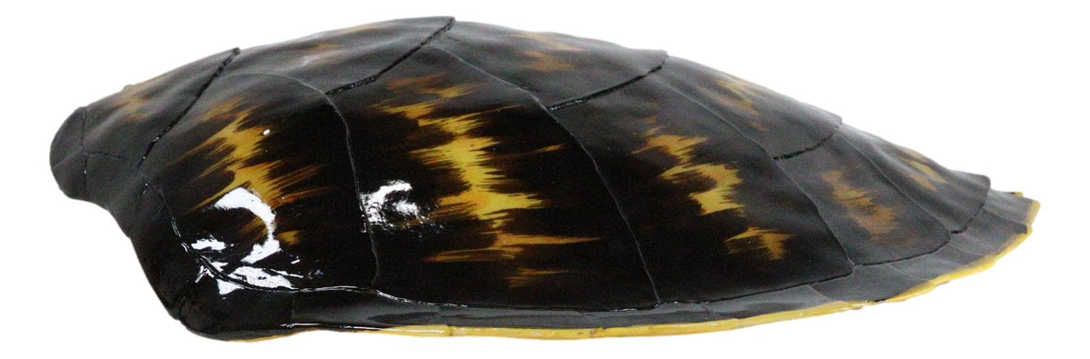 Large Nautical Marine Black Tone Faux Hawksbill Turtle Shell Replica Wall Decor - Ebros Gift