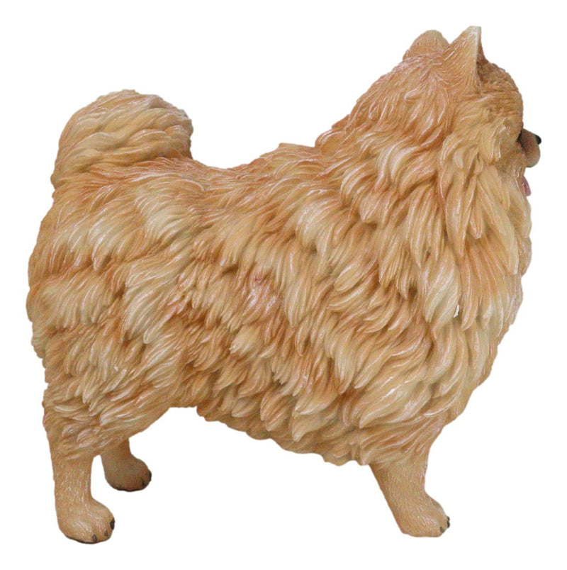 Lifelike Adorable Pet Pal Pomeranian Puppy Dog Standing Figurine