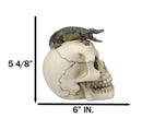 Ossuary Macabre Gothic Jointed Skull with Perching Crocodile Gator Figurine