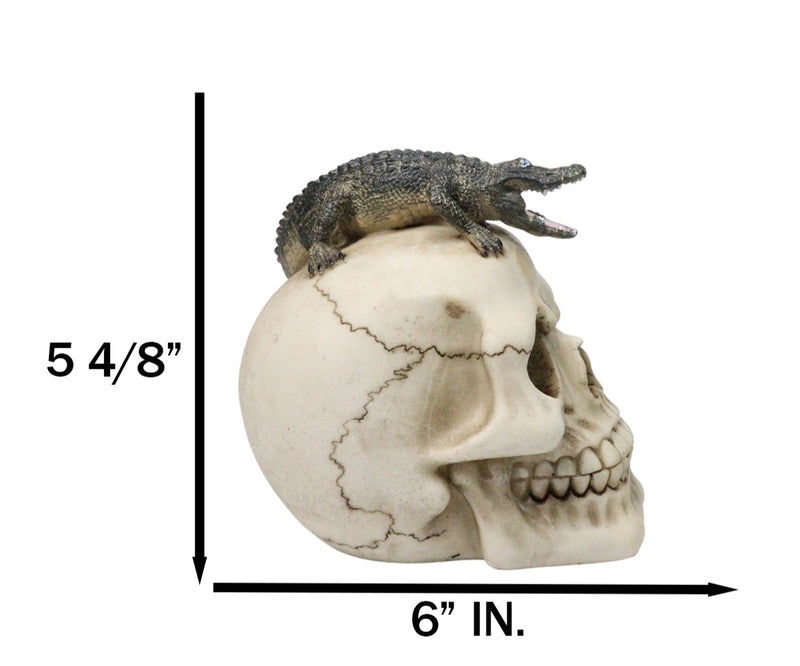 Ossuary Macabre Gothic Jointed Skull with Perching Crocodile Gator Figurine
