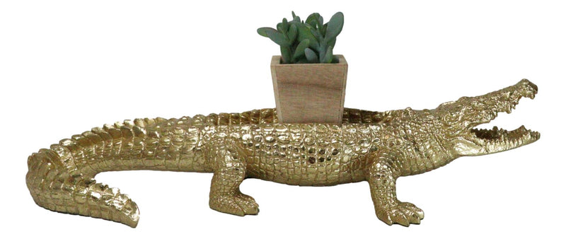 Large Gold Patina Crocodile Baring Razor Teeth Jewelry Tray Organizer Holder18"L