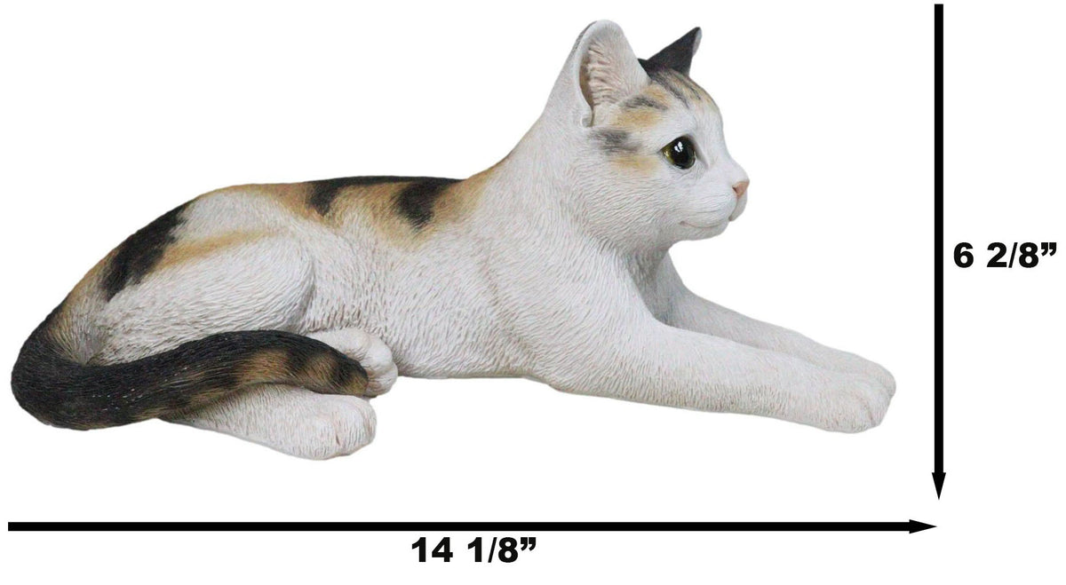 Realistic Adorable Feline Shorthair Calico Cat Kitten Lying Statue14.25"L