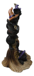 Halloween 5 Black Kitten Cats with Witch Hats Perching On Broomstick Figurine