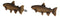 Set Of 2 Western Nautical Marine Trout Fish Faux Wooden Cabinet Bar Pull Knobs
