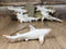 Set Of 6 Antique White Sharks Ocean Marine Wall Hanging Decor Tree Ornaments