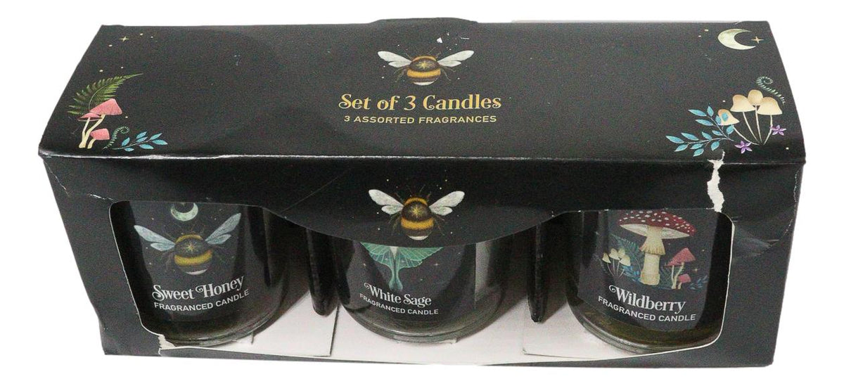 Pack of 3 Wicca Witchcraft Wildberry Sweet Honey White Sage Votive Candle Trio