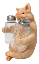 Cute Pig Salt and Pepper Shaker Holder Set with Glass Shakers, Smiling Porky Pig