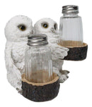 Wildlife Birds White Snowy Owl Couple Salt and Pepper Glass Shakers Holder