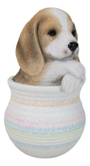 Realistic Tri Color Beagle Puppy Dog Figurine With Glass Eyes Pup In Pot