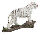 Apex Jungle Predator Prowling Fierce Siberian White Bengal Tiger Figurine