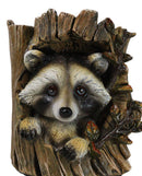 Rustic Western Lifelike Gray Raccoon Hiding In Tree Trunk Decorative Figurine