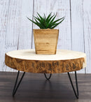 Unfinished Natural Wood Bark Round Slice with Metal Legs Pedestal Stand 9"D