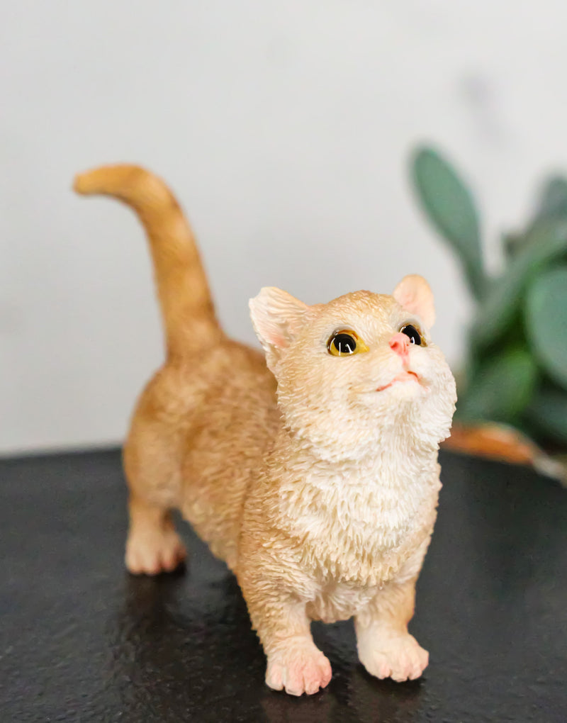 Realistic Curious Feline Orange Tabby Munchkin Cat Kitten Mini Figurine