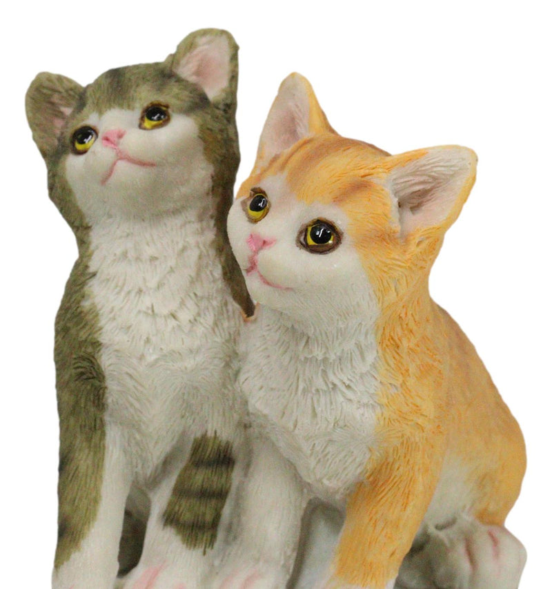 Realistic Animal Pets Sitting 2 Orange And Gray Tabby Cats Collectible Figurine