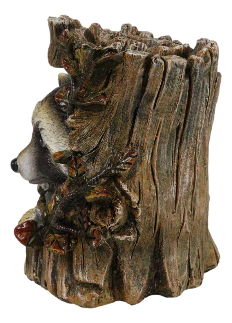 Rustic Western Lifelike Gray Raccoon Hiding In Tree Trunk Decorative Figurine