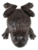 Rustic Vintage Cast Iron Garden Frog Toad Decorative Key Box Small Figurine