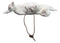 Set Of 6 Antique White Beach Crabs Ocean Marine Wall Hanger Decor Tree Ornaments