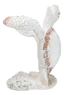 Nautical Marine Distressed Antique White Sea Turtle Wine Bottle Holder Figurine