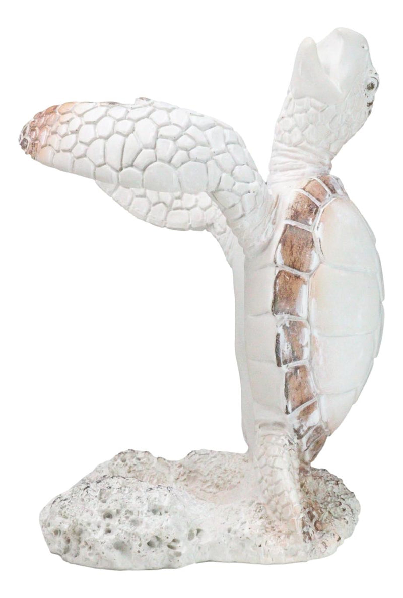 Nautical Marine Distressed Antique White Sea Turtle Wine Bottle Holder Figurine