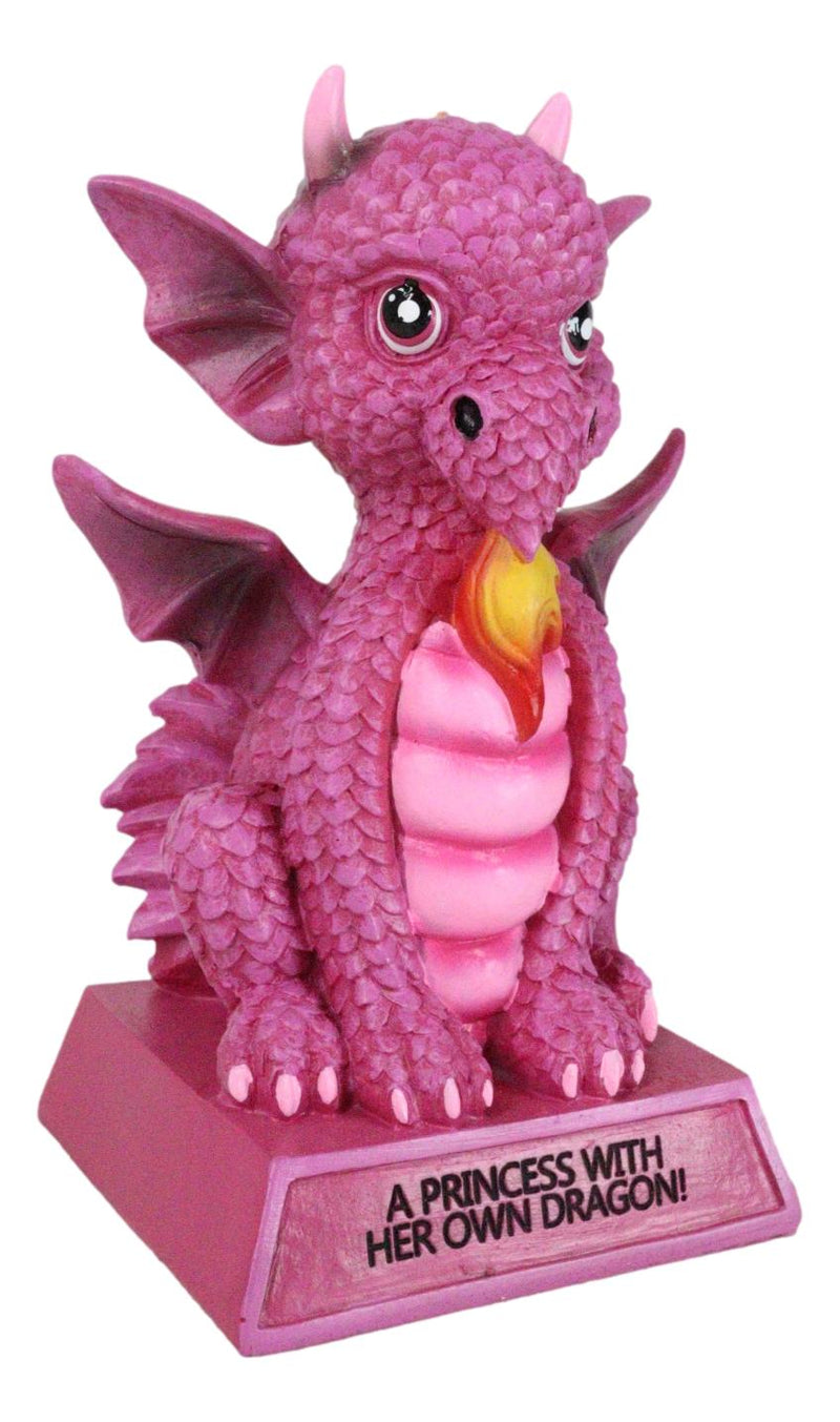 Pink Drake Koan Cartoon Chibi Dragon Figurine A Princess With Her Own Dragon