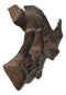 Rustic Cast Iron Playful Squirrel Perching On Tree Branch 4-Peg Wall Hooks Decor