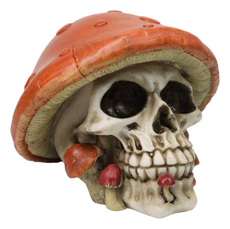 Brown Macabre Toadstool Mushroom Cap Skull With Mini Fungi Figurine 5" L