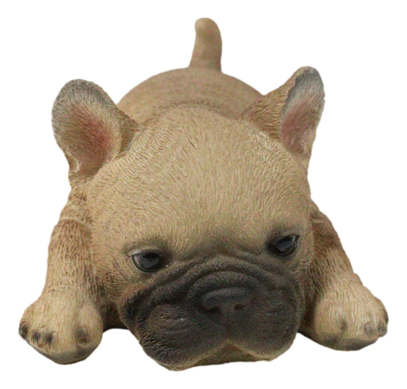 Adorable Frenchie French Bulldog Dog Fridge Magnet Figurine 5" Long
