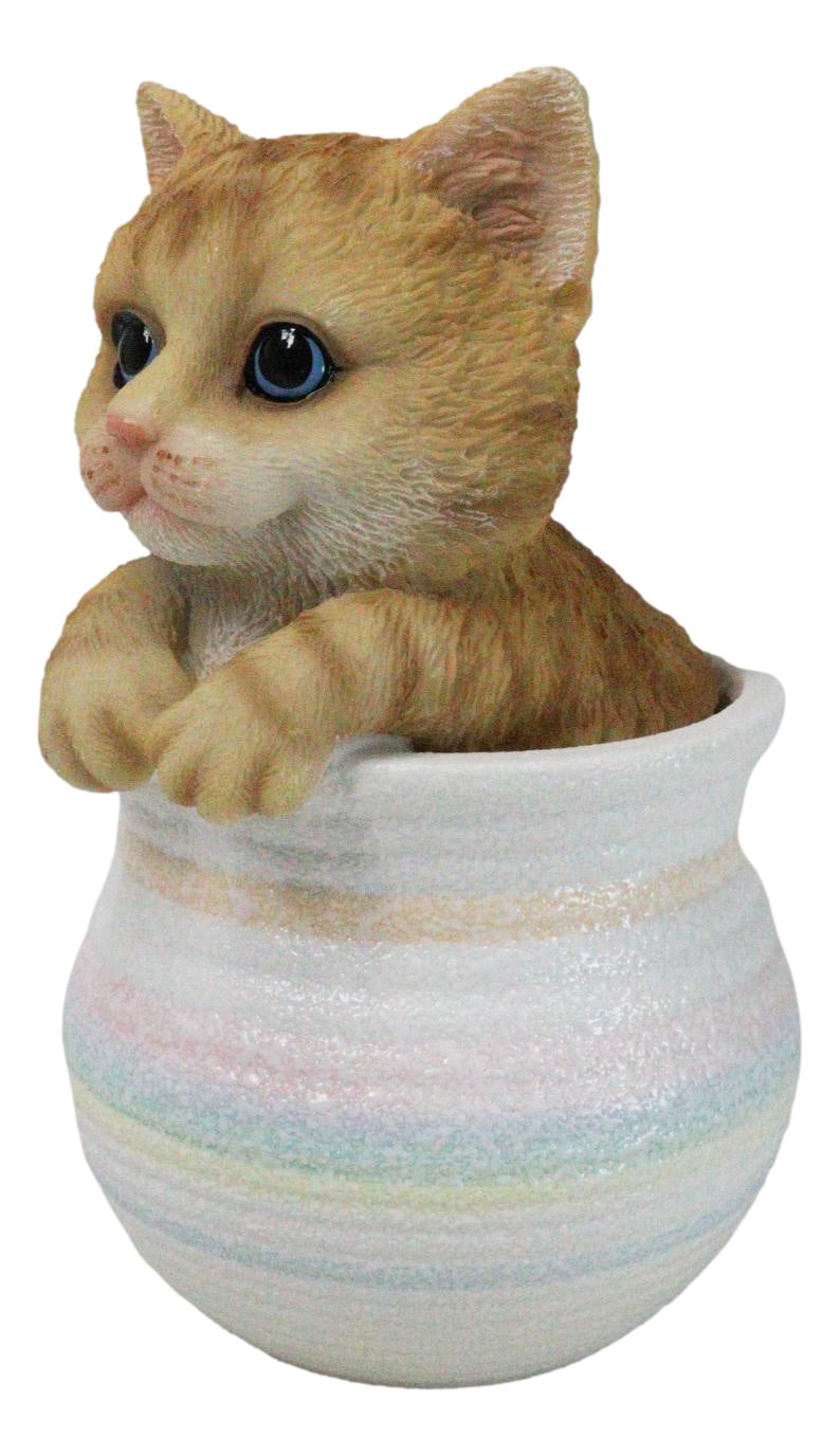 Lifelike Feline Kitty Orange Tabby Cat Blue Eyes In Pastel Artsy Pot Figurine