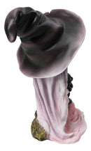 Gothic Beautiful Witch In Pink Dress And Magical Hat Holding Black Cat Figurine