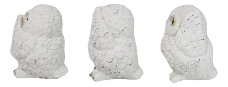 Wisdom Of The Forest See Hear Speak No Evil White Snowy Owls Mini Figurines Set