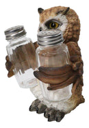 Brown Great Horned Owl Salt and Pepper Shaker Holder Set with Glass Shakers