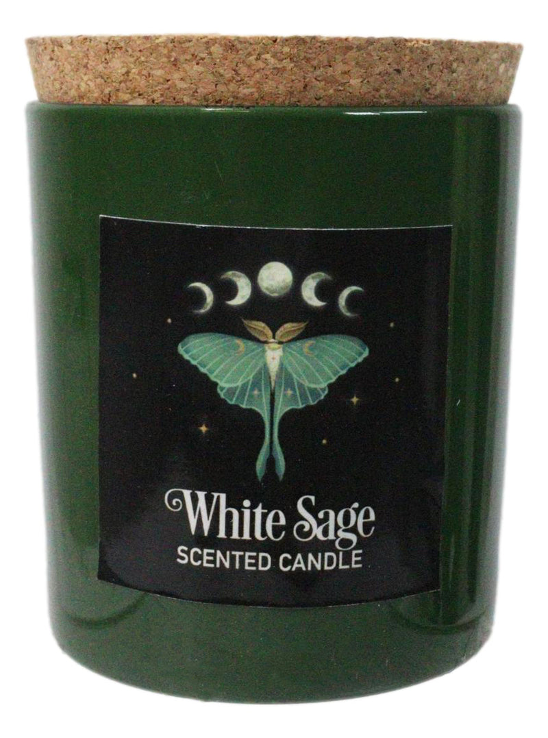Wicca Dark Forest White Sage Luna Moth Scented Candle With Cork Lid