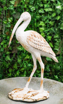 Nautical Marine Scarlet Ibis Distressed Faux Wood Finish Sculpture Decor 16"H