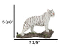 Apex Jungle Predator Prowling Fierce Siberian White Bengal Tiger Figurine