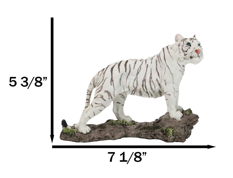 Apex Jungle Predator Prowling Fierce Siberian White Bengal Tiger Figurine