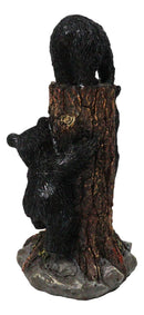 Cabin Companion Tree Climber Black Bear Figurine Cub Bears Forest Tree Wildlife