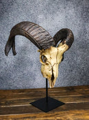 Large Alien Mutated Quad Horns Ram Skull Head Sculpture On Museum Stand 16.25"H