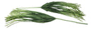 Set of 2 Realistic Artificial Botanica Long Cascading Green Foliage Leaf Stems