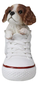 Ebros 'Paw-Star' Pups King Charles Spaniel in Sneaker with Glass Eyes Figurine