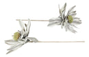 Set of 2 Realistic Artificial Botanica Long White Grey Flower Floral Stems