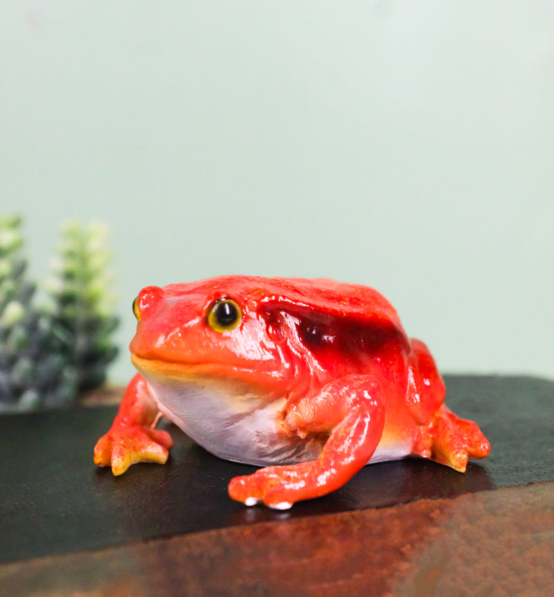 Amphibian Wild Creatures Realistic Northern Red Legged Frog Decorative Figurine