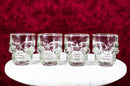 Set of 4 Clear Glass Gothic Skeleton Skull Face Liquor Shot Glasses Shooters