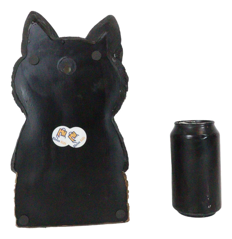 Whimsical Crazy For Cats Feline Kitty Black Cat Play Door Or Wall Hanging Sign