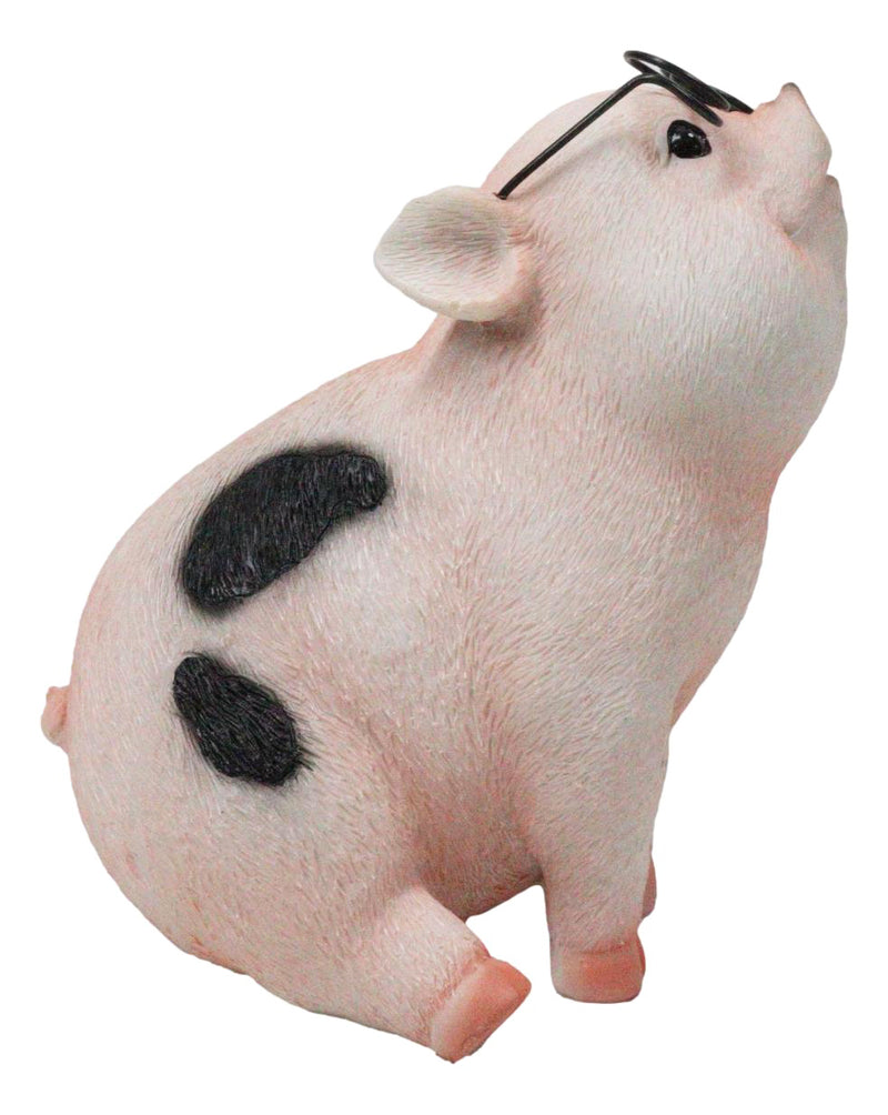 Adorable Realistic Animal Farm Napoleon Fat Piglet Pig Wearing Glasses Figurine